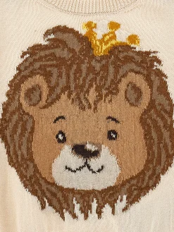 Pull cotone intarsio leone