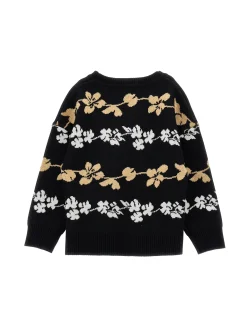 Pull jacquard bicolor